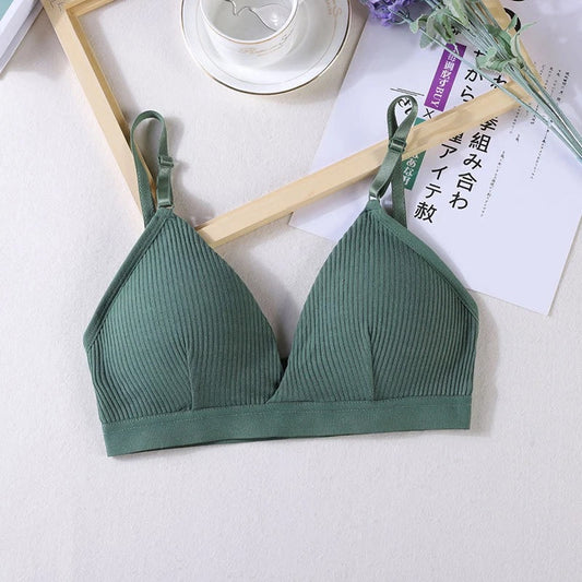 COMBO OF 6 BRA AND PANTIES SET | IMPORTED
