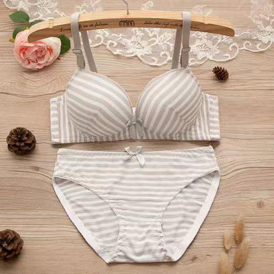 Wireless Seamless Bra and Panty Women's Lingerie Set (Pack of 4)