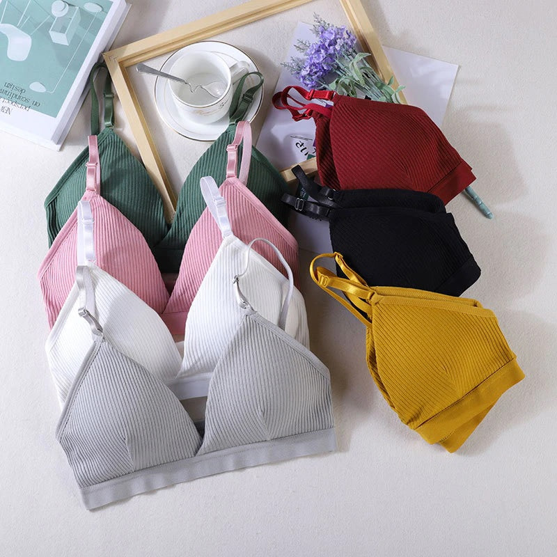 COMBO OF 6 BRA AND PANTIES SET | IMPORTED