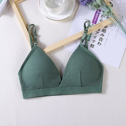 COMBO OF 6 BRA AND PANTIES SET | IMPORTED