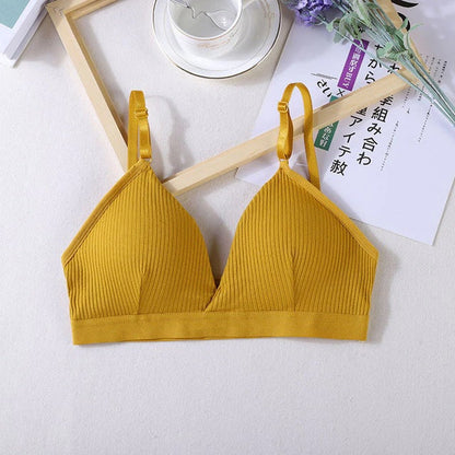 COMBO OF 6 BRA AND PANTIES SET | IMPORTED