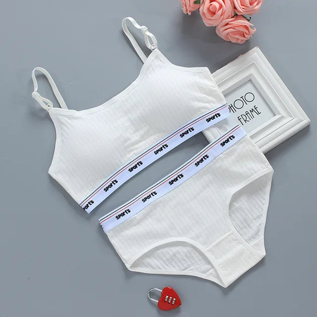 Wireless Seamless Bra and Panty Women's Lingerie Set (Pack of 4)