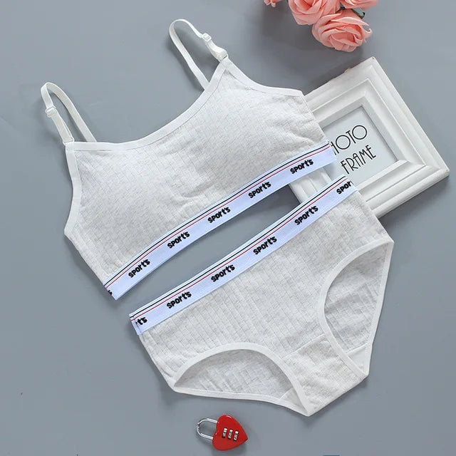 Wireless Seamless Bra and Panty Women's Lingerie Set (Pack of 4)