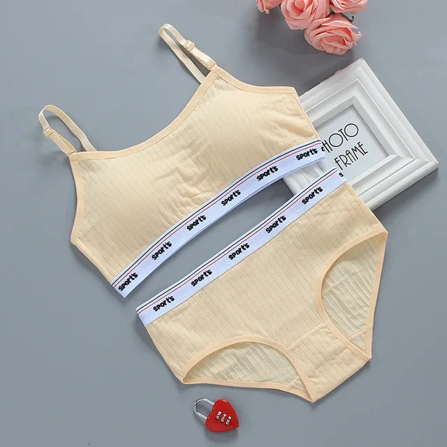 Wireless Seamless Bra and Panty Women's Lingerie Set (Pack of 4)