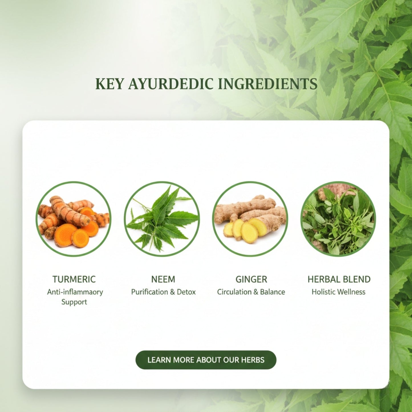 HerbPatch™ - Ayurvedic Herbs Sugar Control Patch (Pack 60) Buy 1 Get 1 free