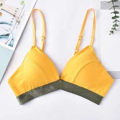 COMBO OF 6 BRA AND PANTIES SET | IMPORTED