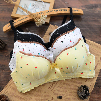 Premium Designer Bra & Panty Set with Matching Panty Bra & Panty Set Self Design Black Lingerie Set (Pack of 3)