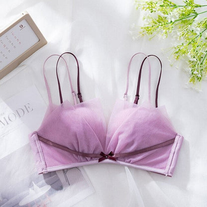 COMBO OF 6 BRA AND PANTIES SET | IMPORTED
