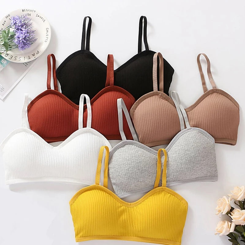 COMBO OF 6 BRA AND PANTIES SET | IMPORTED