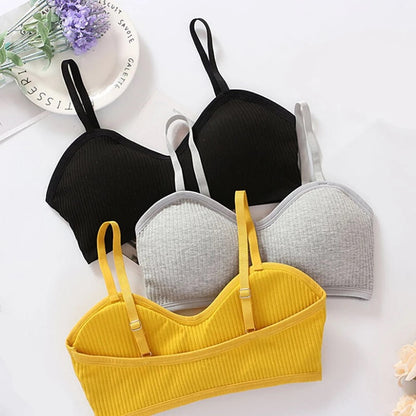 COMBO OF 6 BRA AND PANTIES SET | IMPORTED