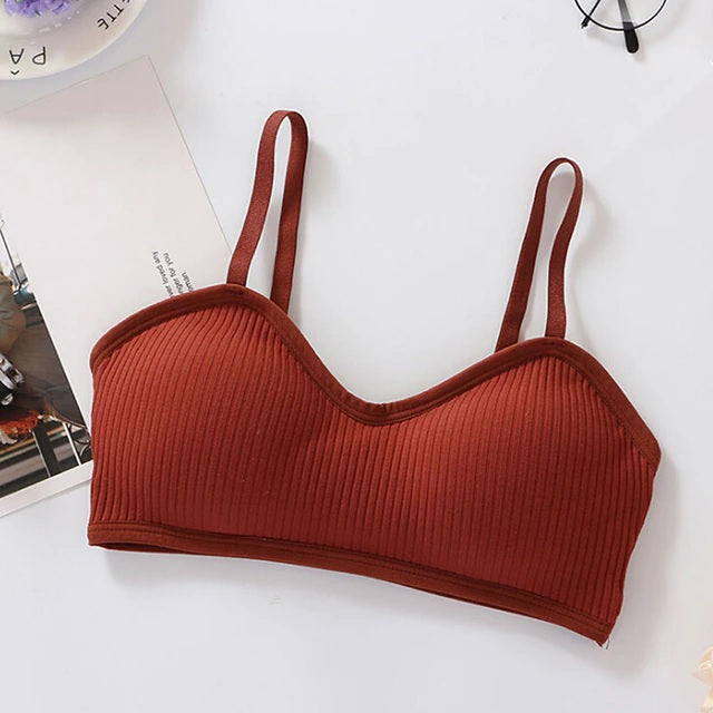COMBO OF 6 BRA AND PANTIES SET | IMPORTED