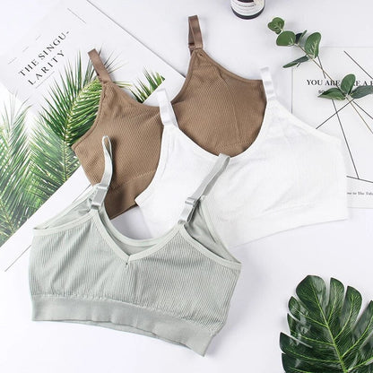 COMBO OF 6 BRA AND PANTIES SET | IMPORTED