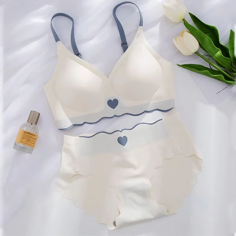 COMBO OF 6 BRA AND PANTIES SET | IMPORTED