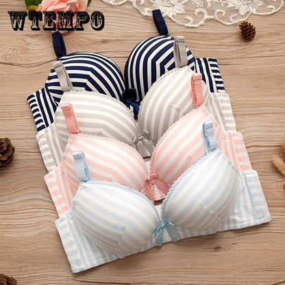 Wireless Seamless Bra and Panty Women's Lingerie Set (Pack of 4)