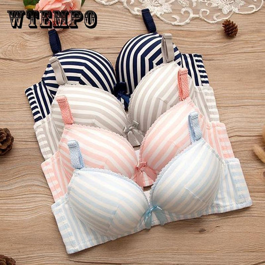 Wireless Seamless Bra and Panty Women's Lingerie Set (Pack of 4)