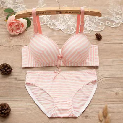 Wireless Seamless Bra and Panty Women's Lingerie Set (Pack of 4)