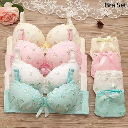 Wireless Seamless Bra and Panty Women's Lingerie Set (Pack of 4)