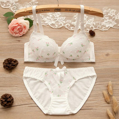 Wireless Seamless Bra and Panty Women's Lingerie Set (Pack of 4)